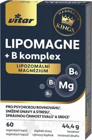 VITAR KINGS LIPOMAGNE + B komplex