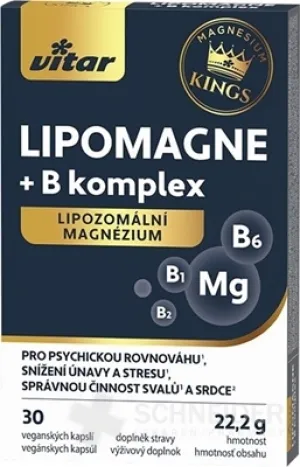 VITAR KINGS LIPOMAGNE + B komplex