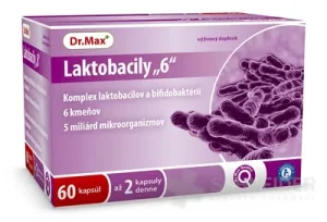 Dr.Max Lactobacily 6