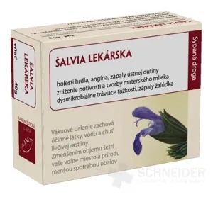 HANUS SALVIA SCHWIEGERARZT
