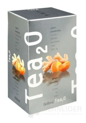 Biogena Tea2O Ingwer &amp; Mandarine