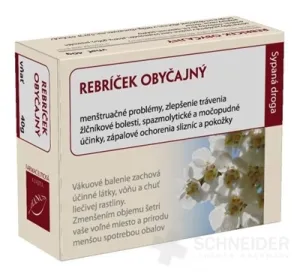 HANUS REBRÍČEK GEMEINSAMER SCHWIEGERSOHN