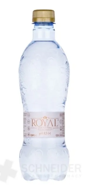 ROYAL Daily Ion Water pH 8,5 (+)