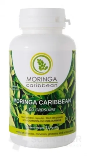 MORINGA Moringa Karibik (Standard)