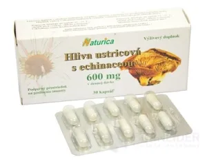 Austernpilz von Naturica mit Echinacea