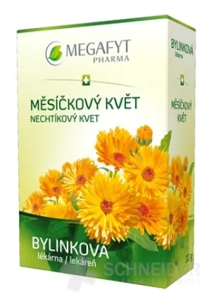 MEGAPHYTE BL KARNEVALSBLUME