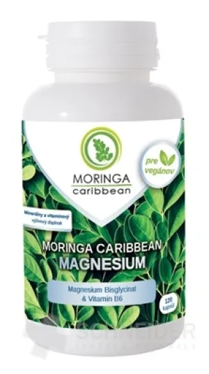 MORINGA Moringa Karibik MAGNESIUM