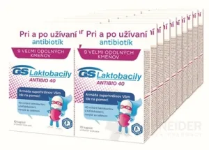 GS Lactobacilli ANTIBIO 40 im Karton 2017