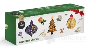 LEROS BLÜHENDES WEIHNACHTEN