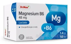 Dr.Max Magnesium B6 Laktat (inov. 2019)