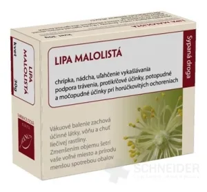 HANUS LINDE KLEINBLÄTTIGE BLUME