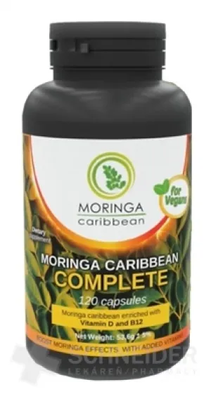 MORINGA Moringa Karibik KOMPLETT