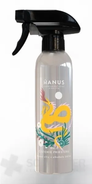 HANUS Nr.2 REINIGUNG DES RAUMS