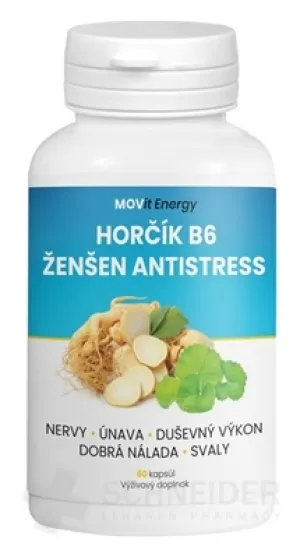 MOVit Magnesium B6 Ginseng Antistress