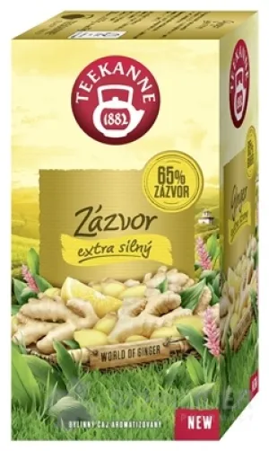 TEEKANNE WOG GINGER Extra stark