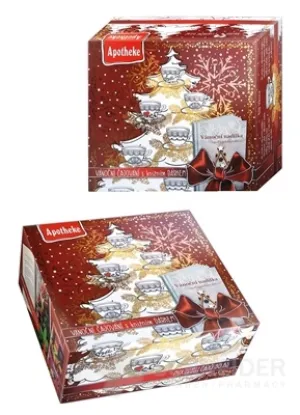 APOTHEKE COLLECTION Weihnachtsteeparty mit Herbarium