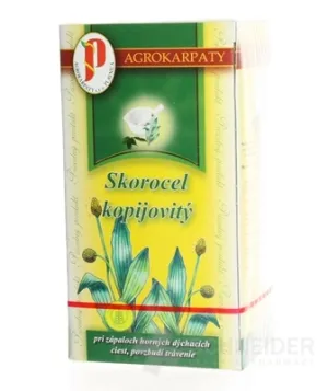 AGROCARPATY SCOROCEL lanzettlich