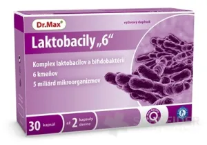 Dr.Max Lactobacily 6