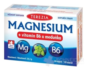 TEREZIA MAGNESIUM + Vitamin B6 und Zitronenmelisse