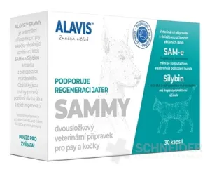 ALAVIS SAMMY