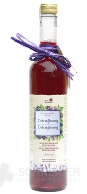 NaturProdukt Brombeersirup