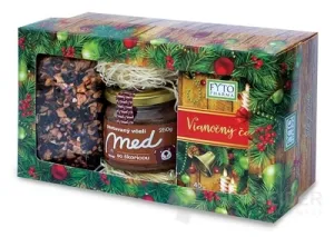 FYTO Geschenkkassette Weihnachten