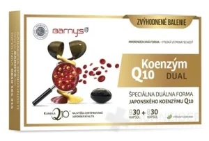Barny's Coenzym Q10 DUAL 60 mg