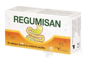 REGUMISAN