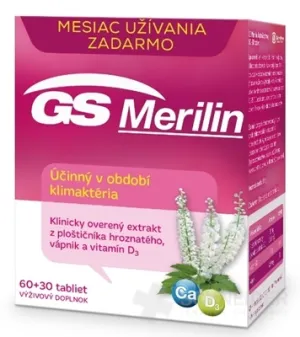 GS Merlin