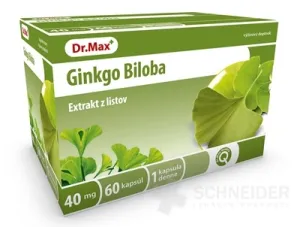 Dr.Max Ginkgo Biloba (Neu) 40 mg
