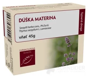HANUS DÚŠKA MOTHERINA SCHWIEGERSOHN