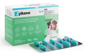 Zylken