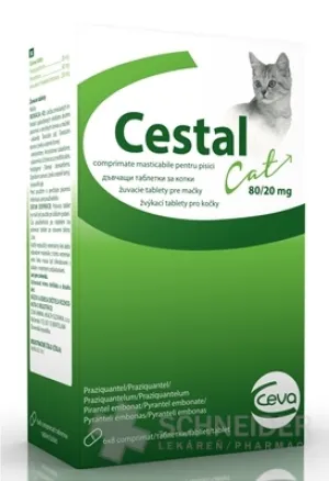 CESTAL CAT 80 mg/20 mg