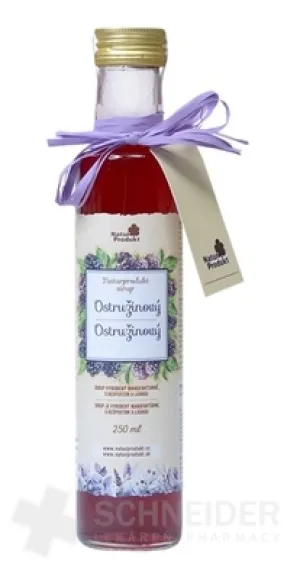 NaturProdukt Brombeersirup