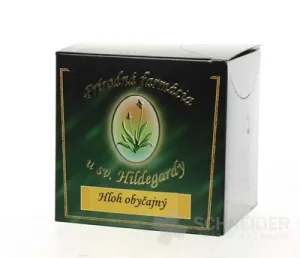 Acc. Apotheke HOLH ORDINARY Blatt mit Blüte