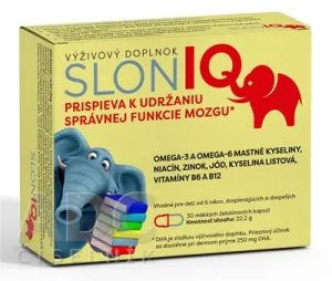 SlonIQ 30 Stück