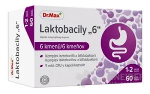 Dr.Max Lactobacily 6