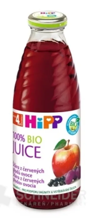 HiPP BIO Roter Fruchtsaft