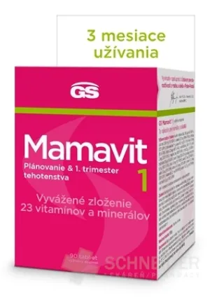 GS Mamavit 1, Planung und 1. Trimester