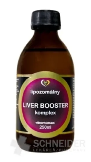 Healthy World Liposomaler LIVER BOOSTER-Komplex