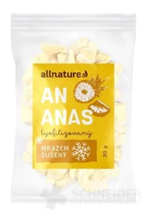 Allnature GEFRIERGETROCKNETE ANANAS