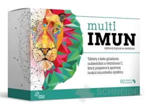 MultiIMUN