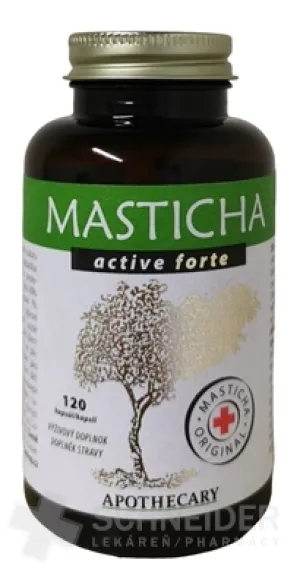 MASTICHA ACTIVE FORTE - Apotheker