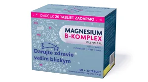 MAGNESIUM B-COMPLEX 100+20 TBL GRATIS (Weihnachtsverpackung)