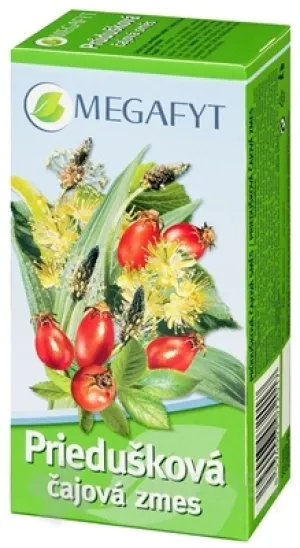 MEGAFYT Bronchialteemischung