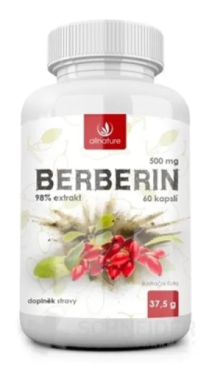 Allnature BERBERIN-Extrakt 98 % 500 mg