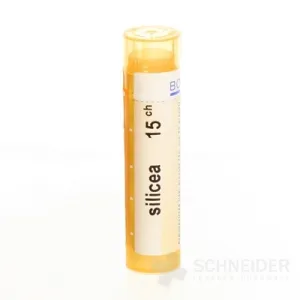 SILICEA