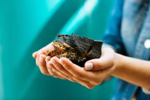 AHAVA Naturschlamm aus dem Toten Meer 400gr