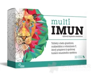 MultiIMUN