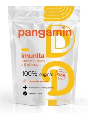 PANGAMIN IMINUTA